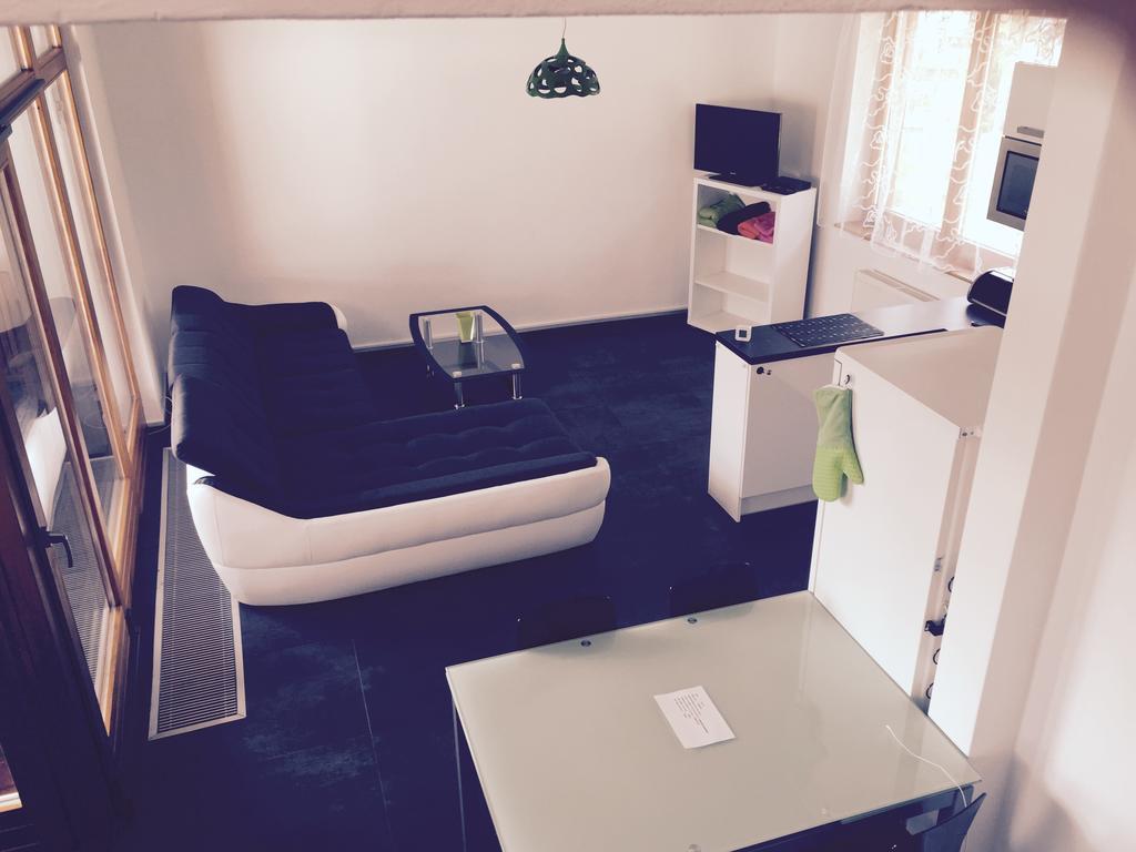 Apartman Martin Липно над Вълтава Стая снимка